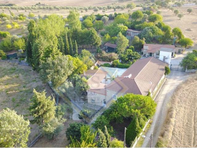 Quinta venda em Santarém