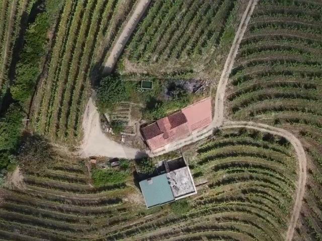 Quinta venda em Urval, Santa Marta De Penaguião