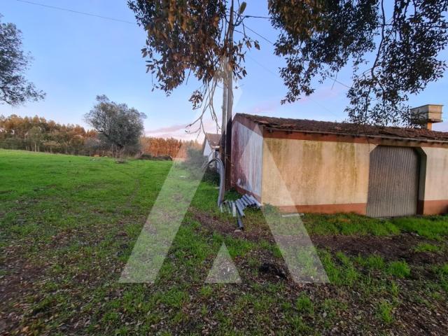 Quinta venda em Leiria