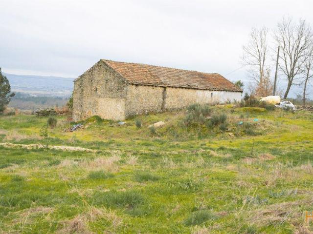 Quinta venda em Castelo Branco