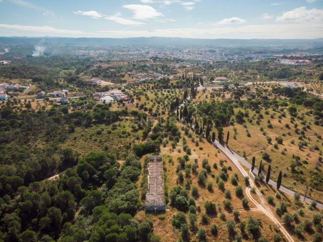 Quinta venda em Curvaceiras Pequenas, Tomar