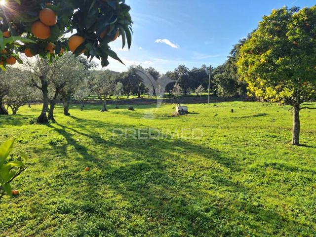 Quinta venda em Portalegre