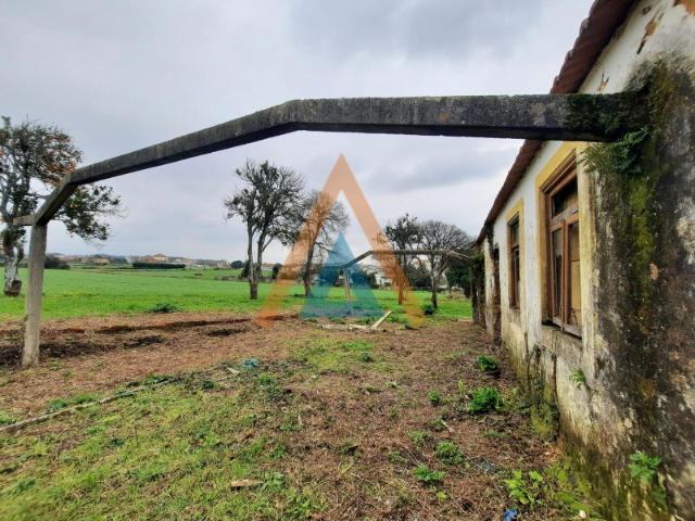Quinta venda em Ovar, Aveiro