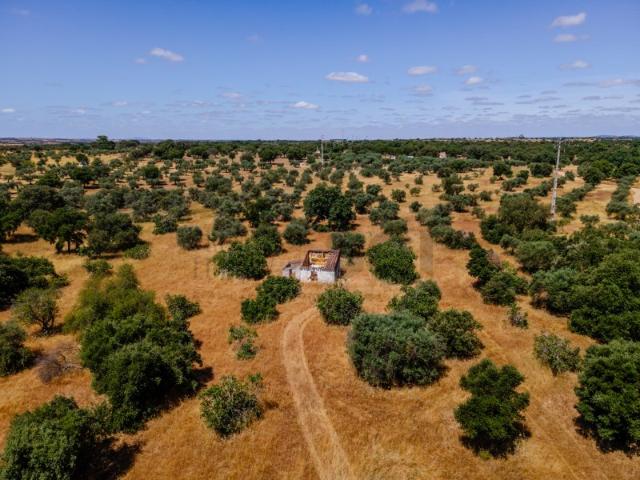 Quinta venda em Serpa, Beja