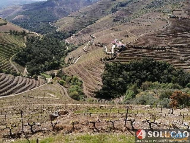 Quinta venda em Vila Real