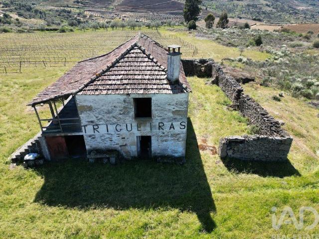 Quinta venda em Vila Flor, Bragança