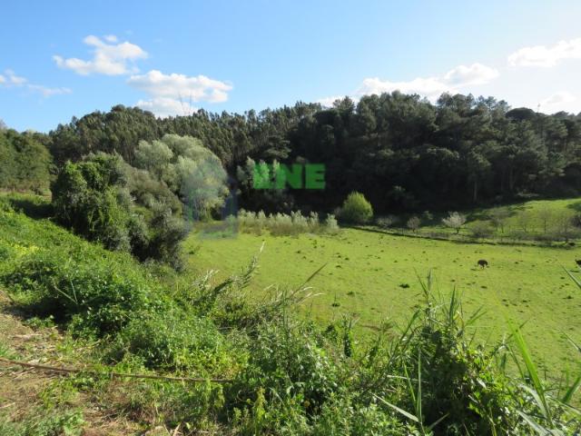 Quinta venda em Lisboa