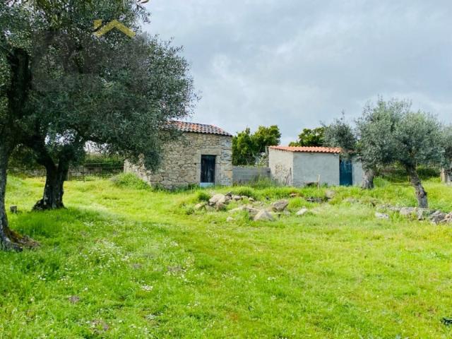 Quinta venda em Castelo Branco