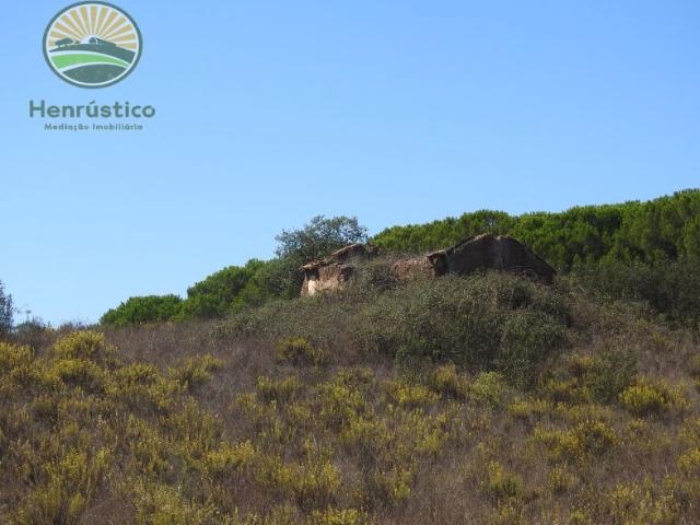Quinta venda em Santiago Do Cacém, Setúbal