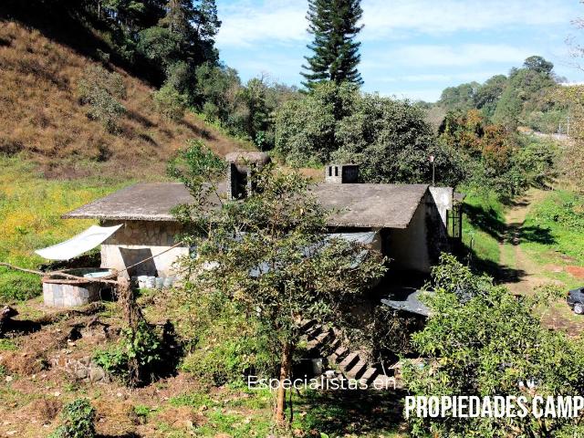 Casa en venta en Los Girasoles, Huauchinango