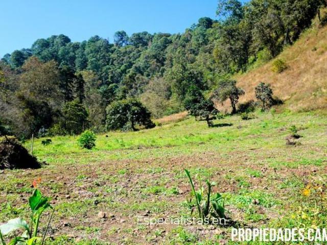 Quinta en Huauchinango a 2 mins de Autopista Méx Tuxpan