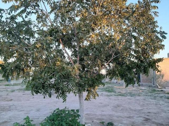 Quinta en Rancho o rancheria El Predio