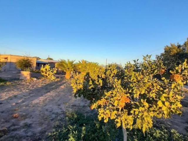 Quinta en Rancho o rancheria El Predio