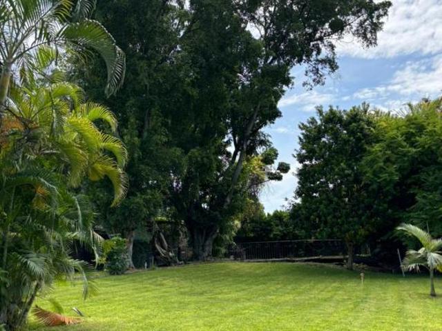 Quinta en Venta Arbolada de 18mil m2 en Xochitepec Morelos