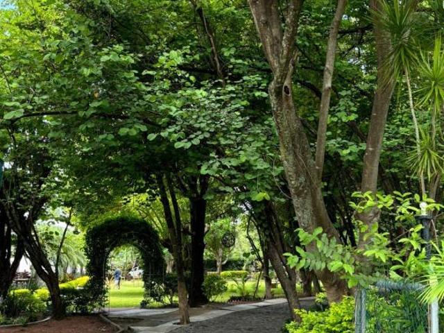 Quinta en Venta Arbolada de 18mil m2 en Xochitepec Morelos