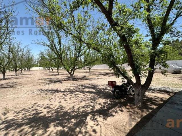 Quinta en Venta en Aldama Chihuahua