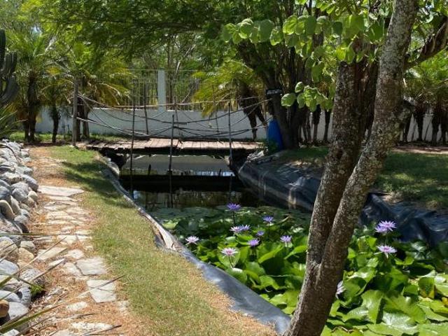 Quinta en venta, Fracc Campestre Los Olivos