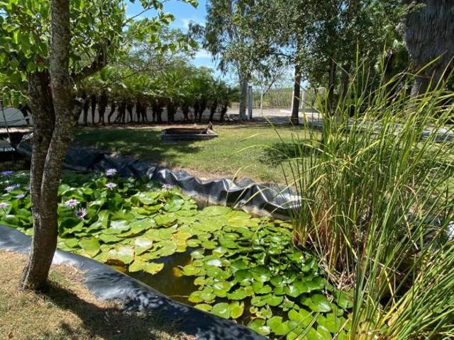 Quinta en venta, Fracc Campestre Los Olivos