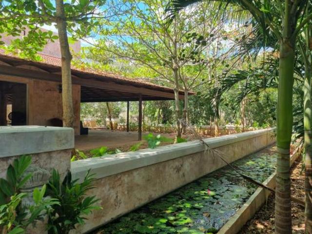 Quinta en venta, potencial para un proyecto de ensueño, Conkal Yucatán