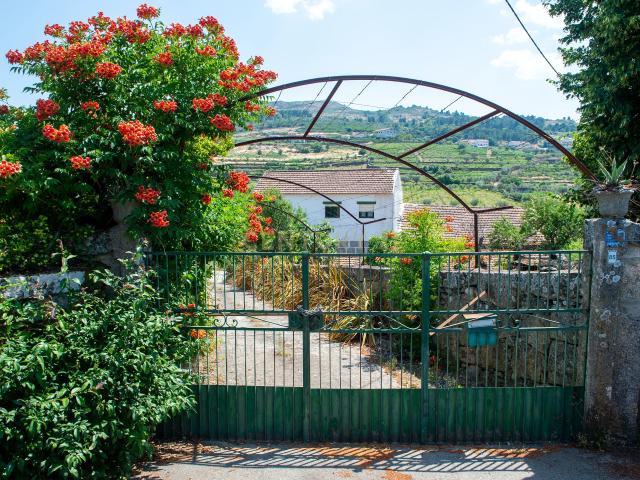Quinta venda em Viseu