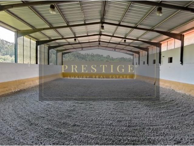 Quinta venda em Tomar, Santarém