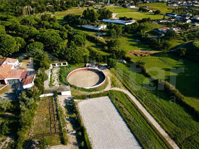 Quinta venda em Benavente, Santarém