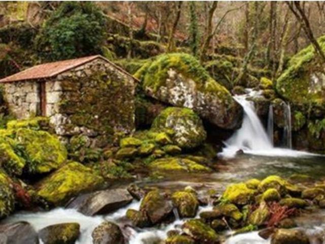 Casa venda em Rebolfe, Ferreiros De Tendais