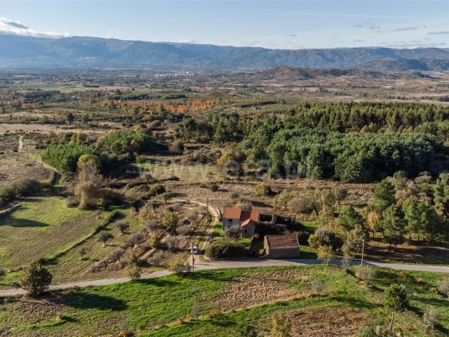 Quinta venda em Castelo Branco, Caria