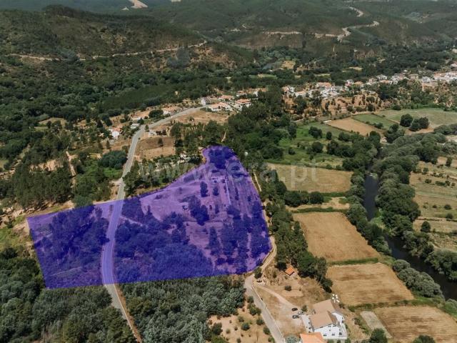 Quinta venda em Castelo Branco