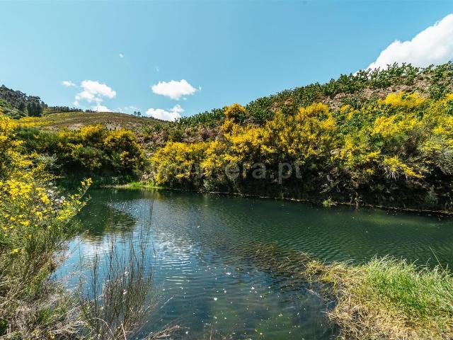 Quinta venda em Castelo Branco, Aldeia Nova Do Cabo