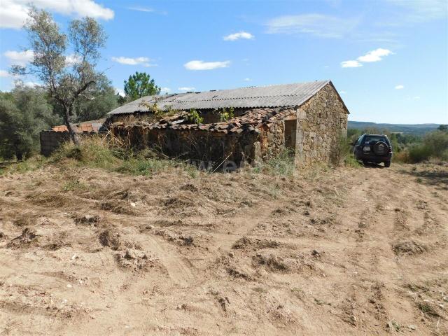 Quinta venda em Castelo Branco, Quintãs