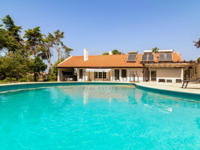 Quinta venda em Azeitão (São Lourenço e São Simão), Setúbal