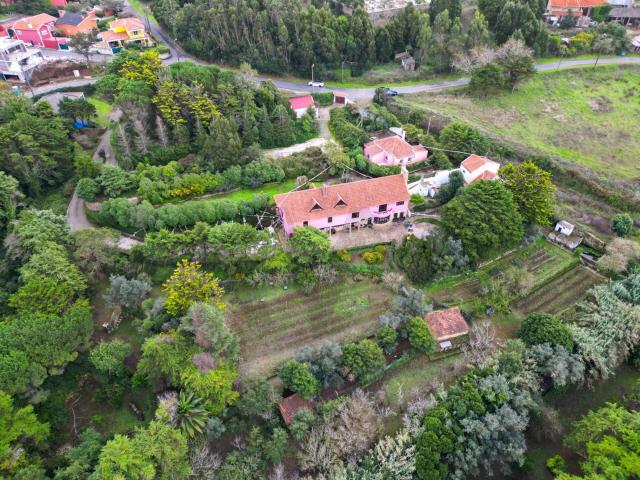 Quinta venda em Sintra