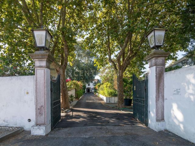 Quinta venda em Almada, Setúbal