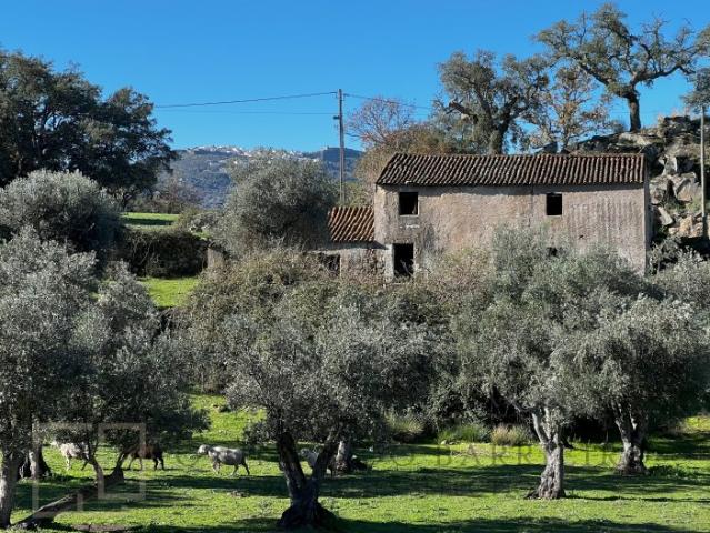 Quinta venda em Marvão, Santo António Das Areias