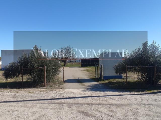 Quinta venda em Palmela, Setúbal