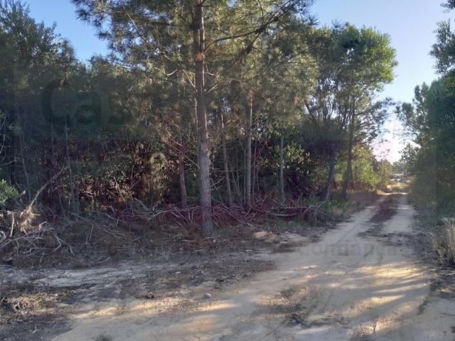 Quinta venda em Fernão Ferro, Quinta Lobateira