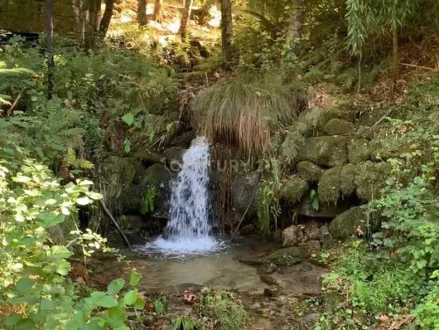 Quinta venda em Póvoa De Lanhoso, Braga