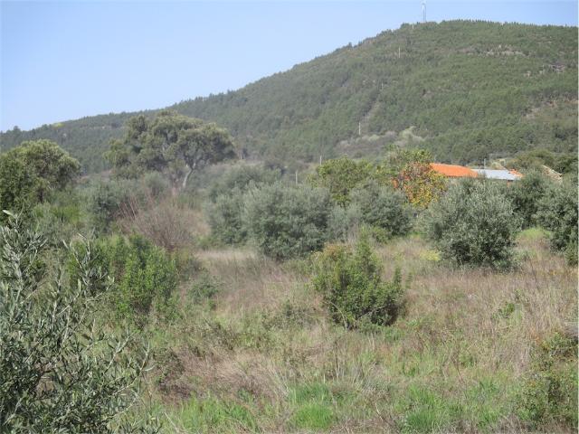 Quinta venda em Bairro do Barrocal, Castelo Branco