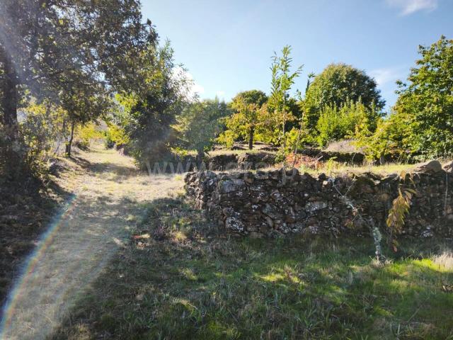 Quinta venda em Castelo Branco, Aldeia Nova Do Cabo