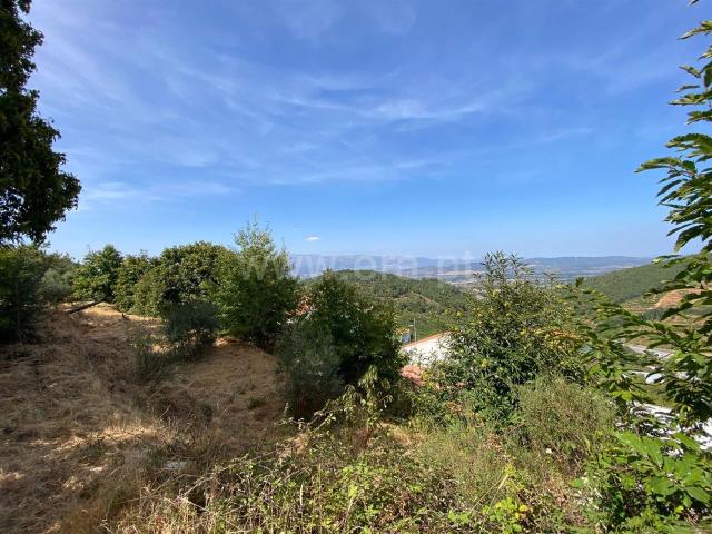 Quinta venda em Castelo Branco, Aldeia Nova Do Cabo