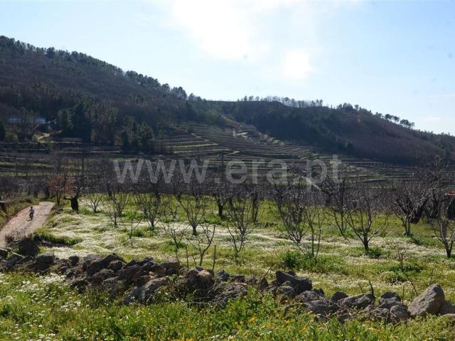 Quinta venda em Castelo Branco, Aldeia Nova Do Cabo