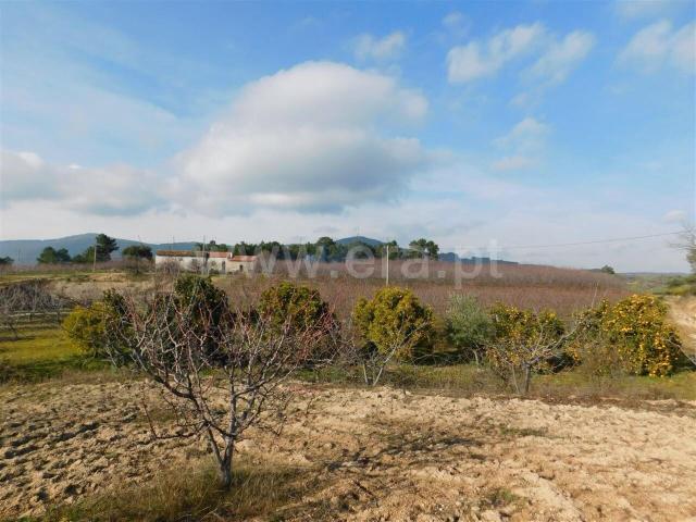 Quinta venda em Castelo Branco, Aldeia Nova Do Cabo