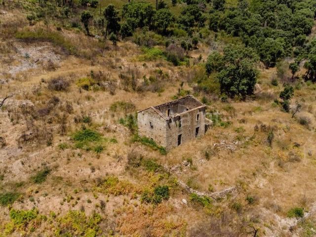 Quinta venda em Castelo Branco, Aldeia Nova Do Cabo