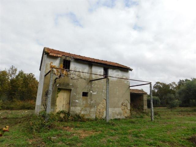 Quinta venda em Castelo Branco, Aldeia Nova Do Cabo