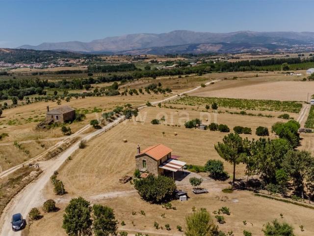 Quinta venda em Castelo Branco, Aldeia Nova Do Cabo