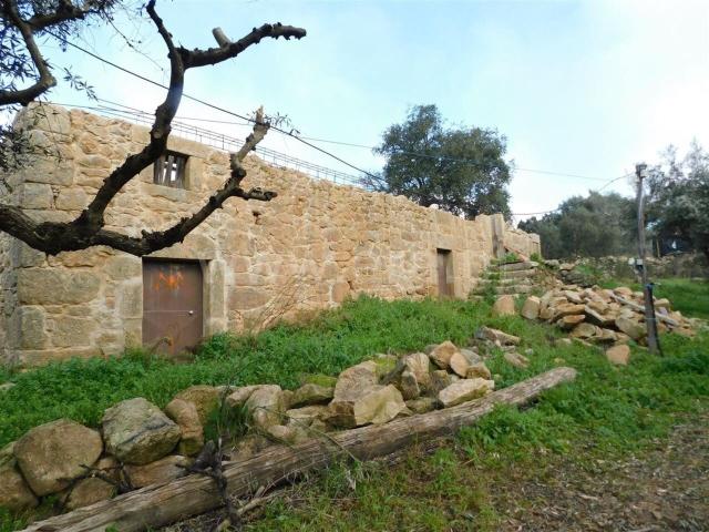 Quinta venda em Castelo Branco, Aldeia Nova Do Cabo