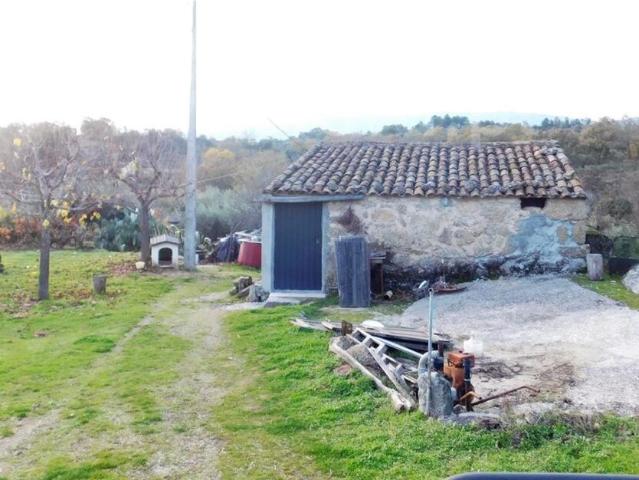Quinta venda em Castelo Branco, Aldeia Nova Do Cabo