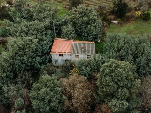 Quinta venda em Castelo Branco, Aldeia Nova Do Cabo