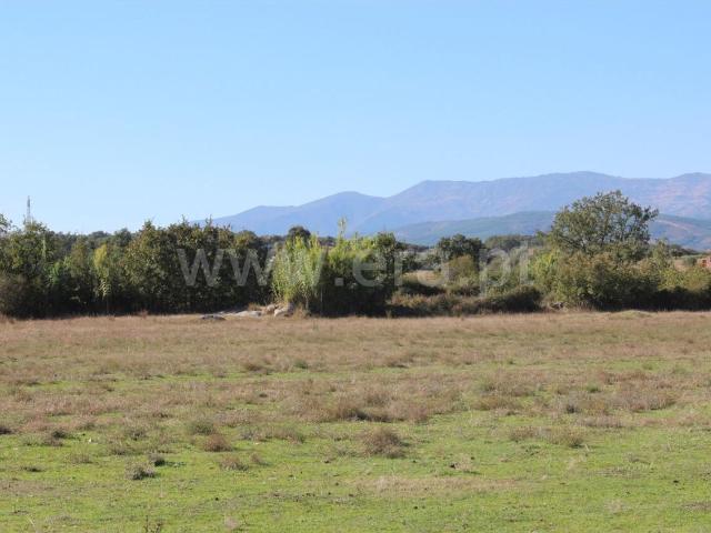 Terreno venda em Castelo Branco, Aldeia Nova Do Cabo